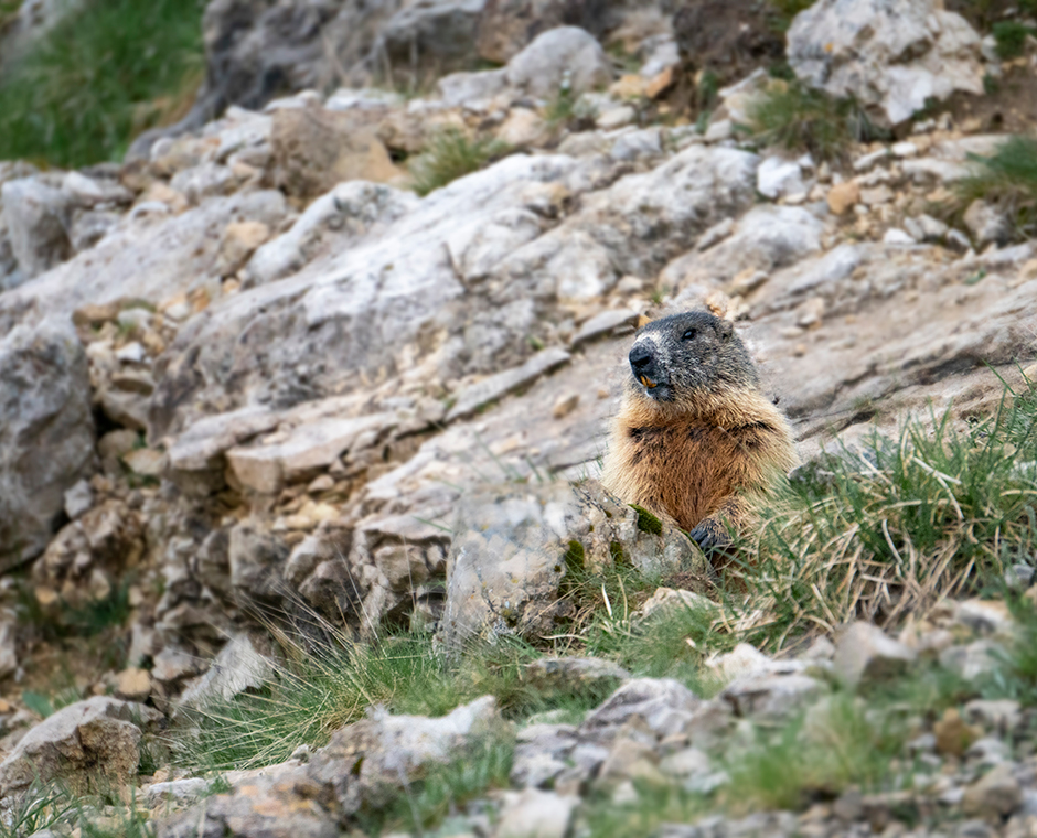 Nationalparks Südtirol