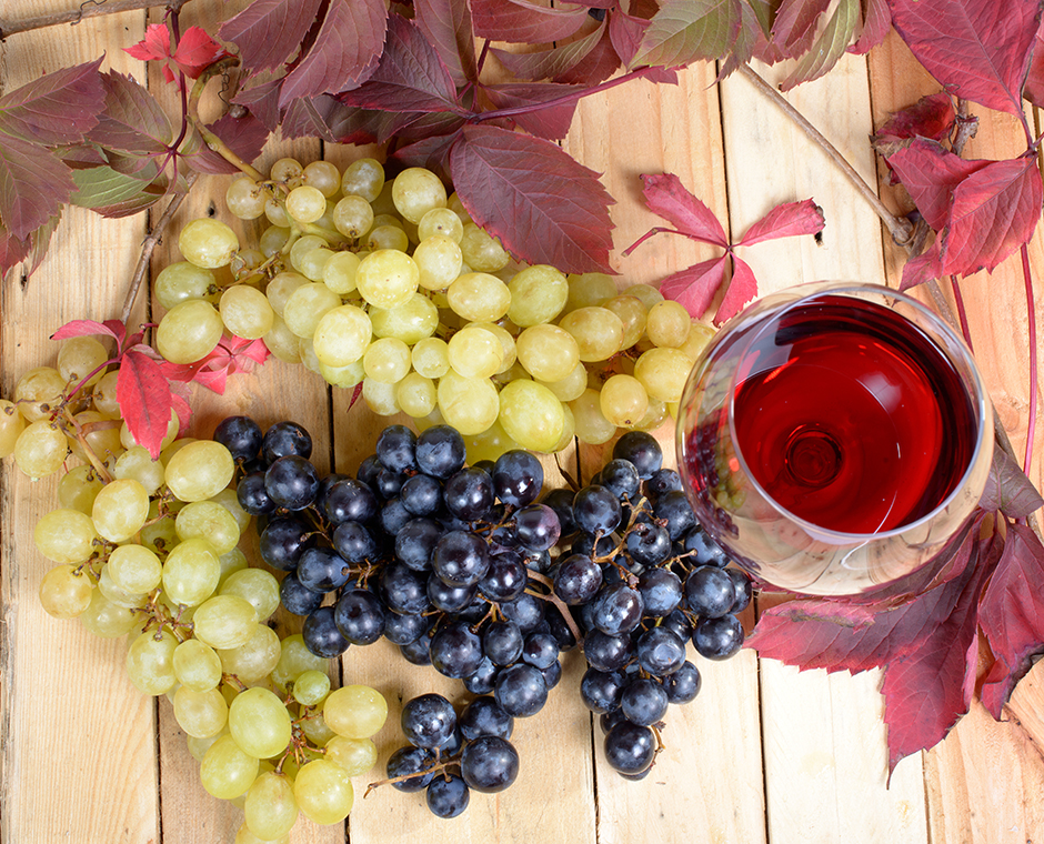 vino rosso grappoli d uva