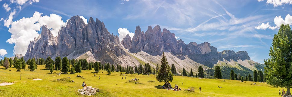 Blick auf eine grüne Wiese und hinter die Dolomiten in Südtirol im Sommer