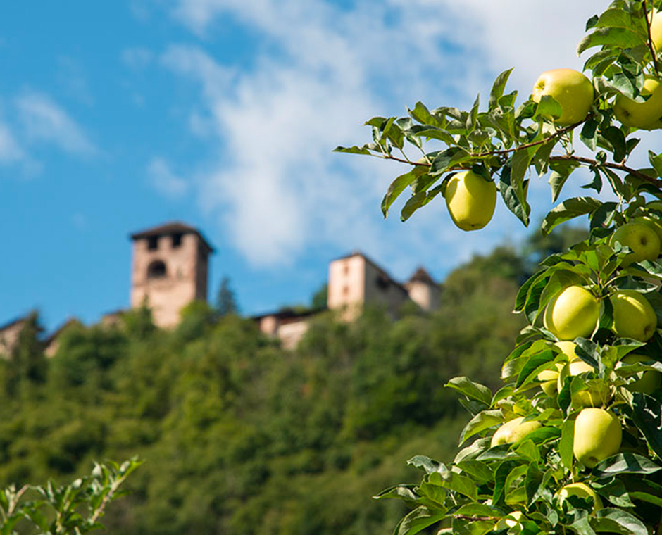 castel payersberg nalles