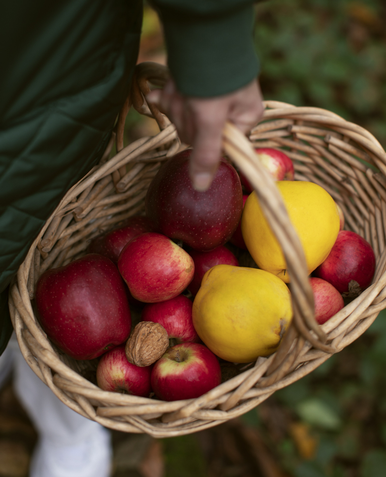 Ein Korb voller Äpfel