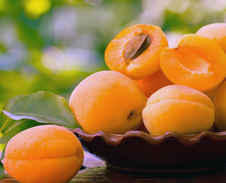 Frische, leuchtende Marillen – bereit zum Genießen