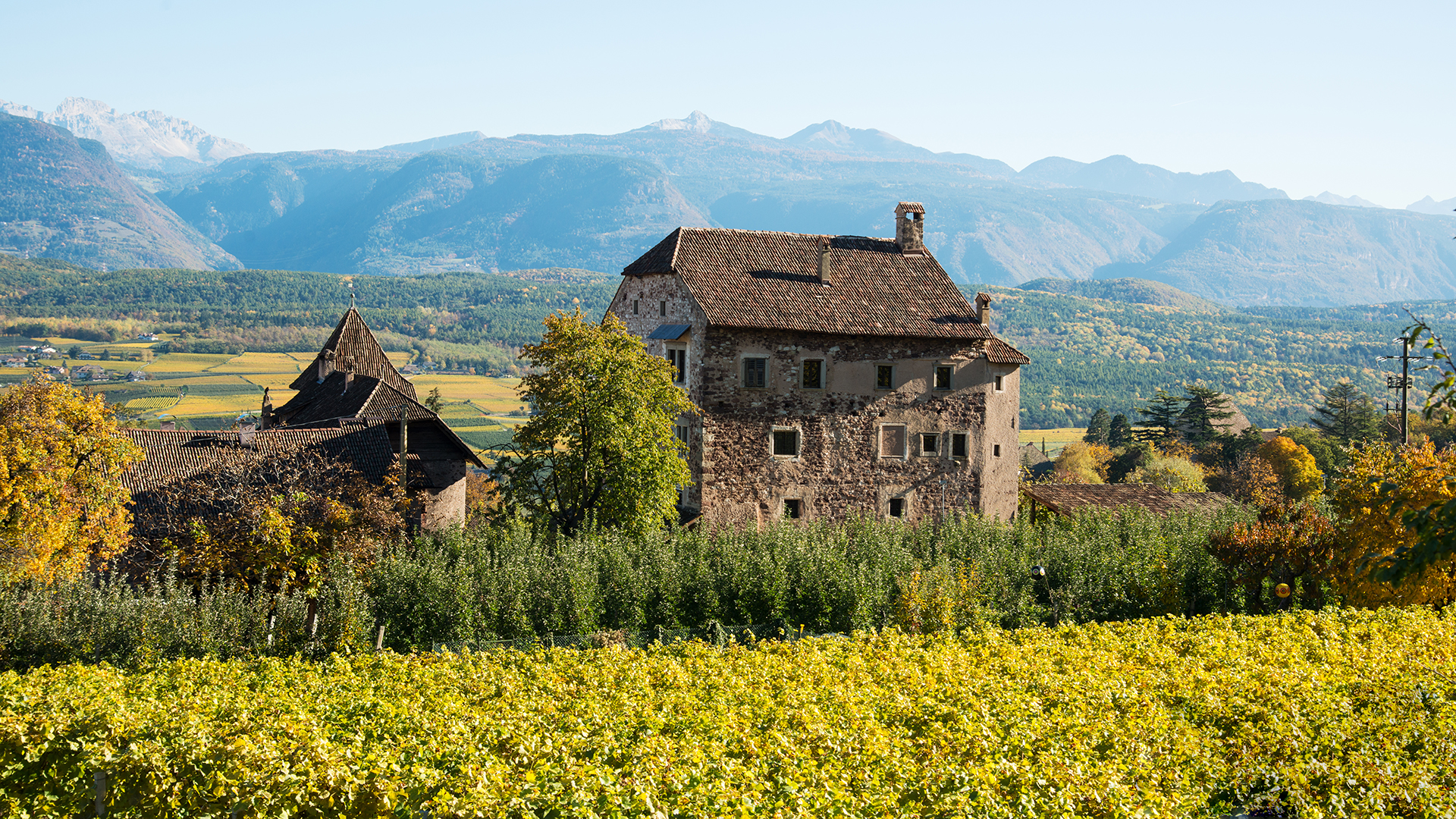 Historisches Weingut zwischen den Reben in Eppan
