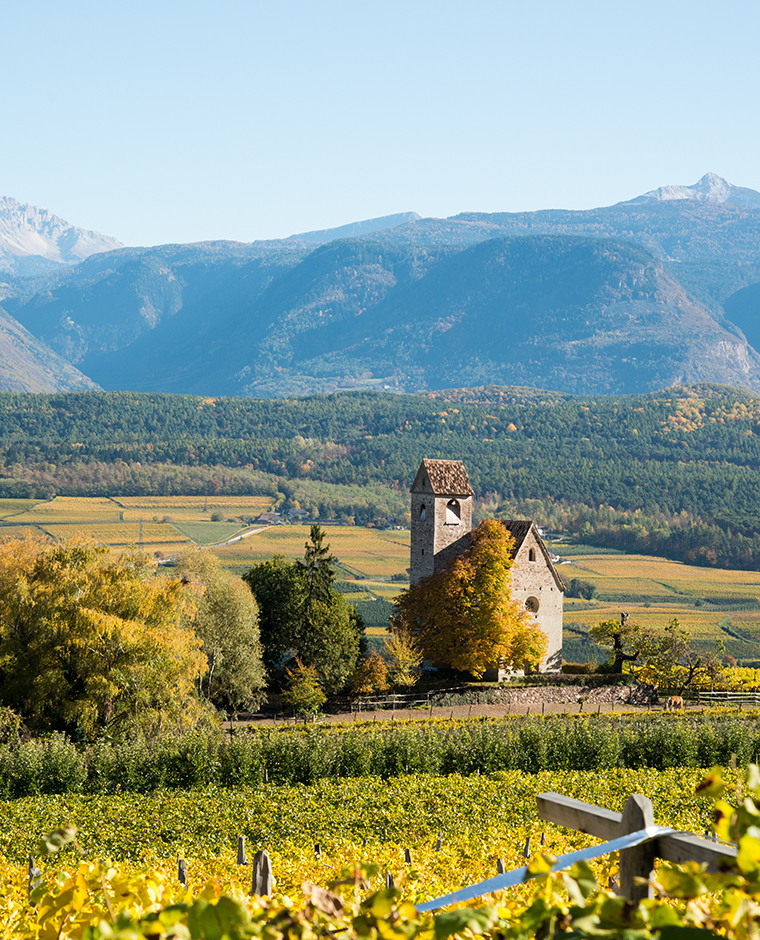 Kirchlein zwischen Weinbergen in Südtirol im Herbst