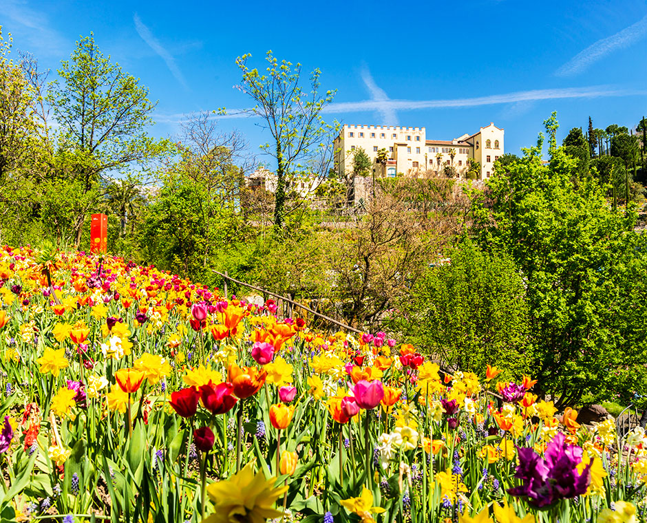 trauttmansdorff giardino castello
