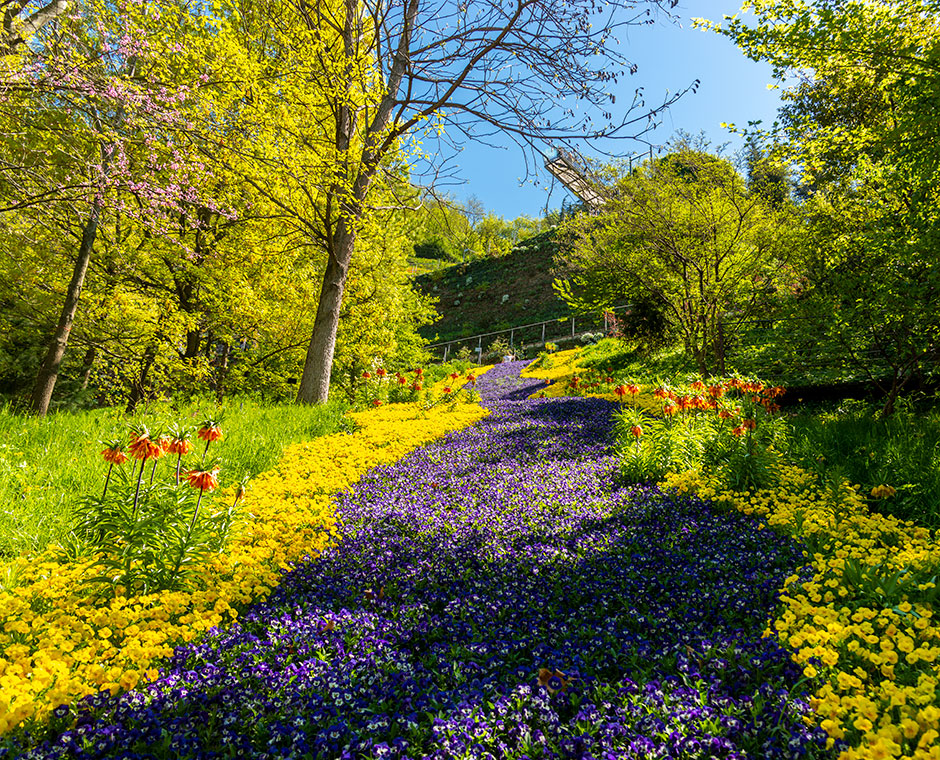 trauttmansdorff giardino piattaforma