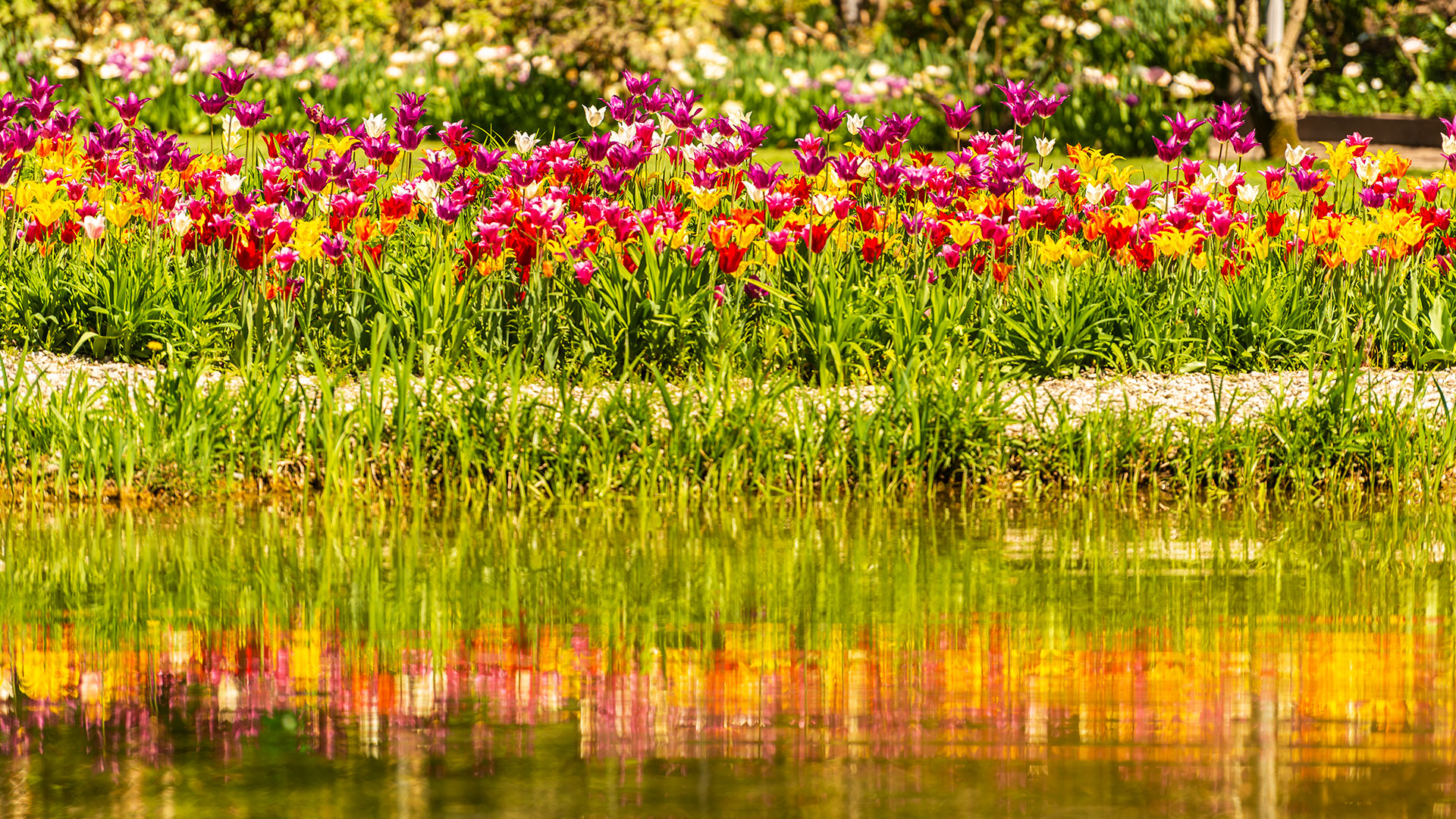 trauttmansdorff riflesso acqua